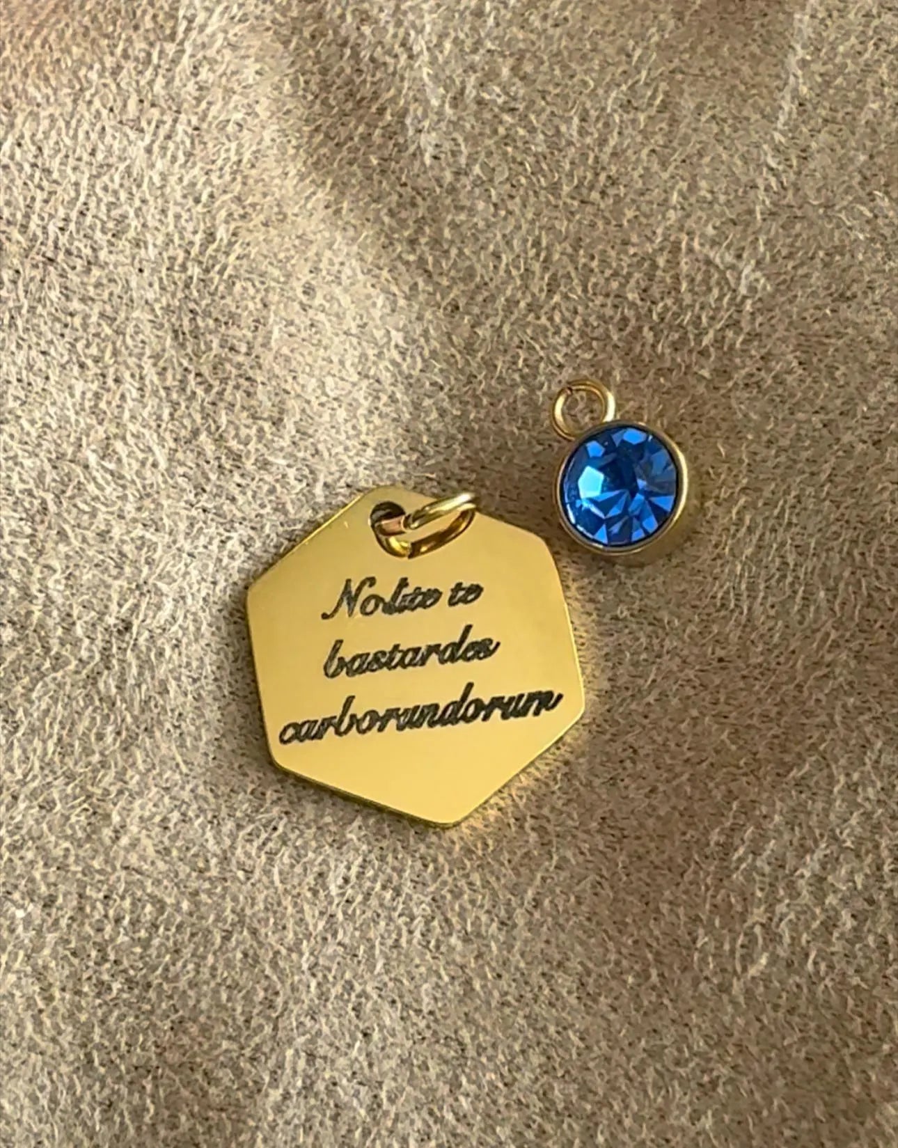 Nolite te bastardes carborundorum Engraved Necklace