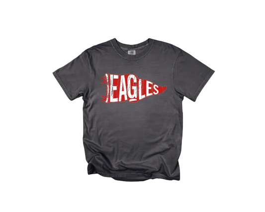 Gray t-shirt with red and white 'EAGLES' design on a white background