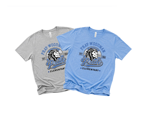 PWS Classic PWS Pride Triblend TShirt