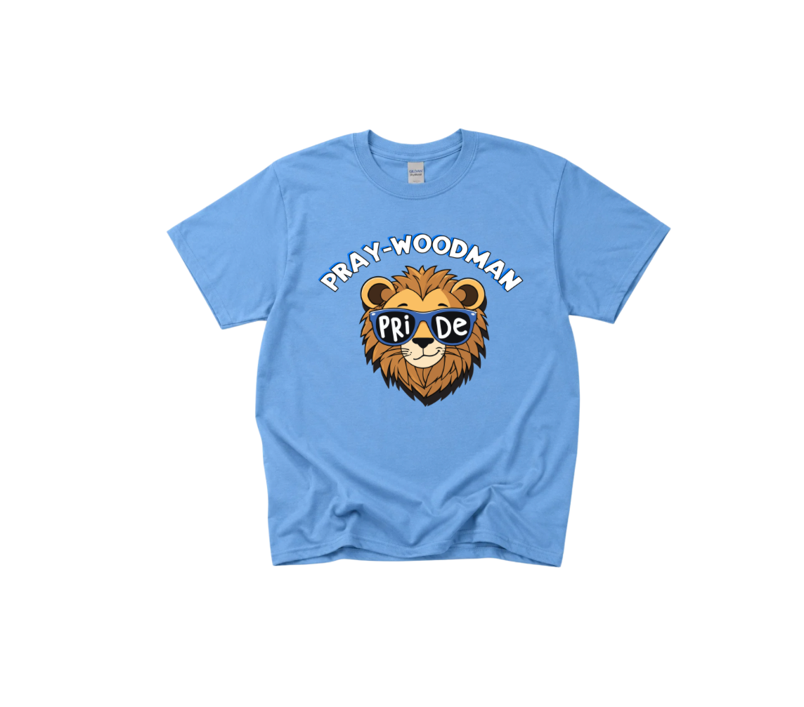 PWS Cute Lion Head Tshirt