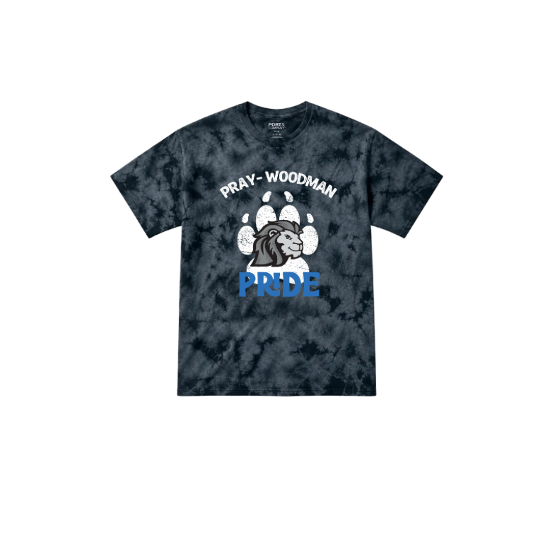 PWS Classic Paw Tie Dye T Shirt