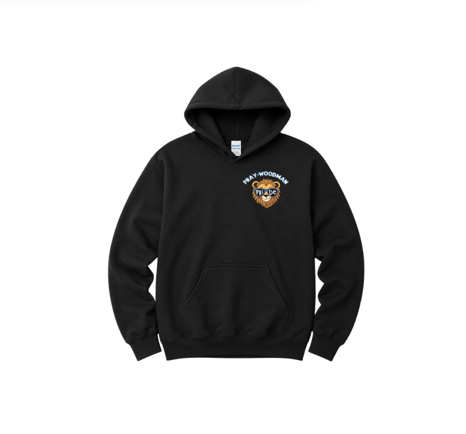 PWS Cute Lion Head Gildan Hoodie