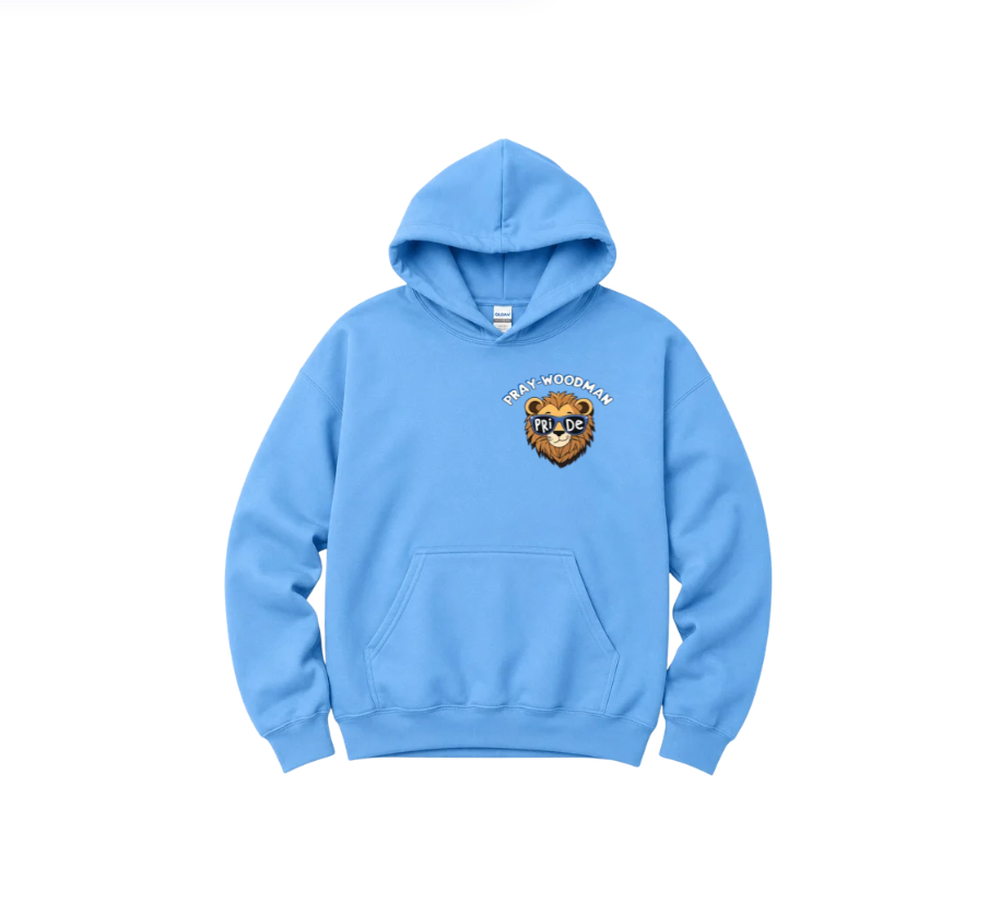 PWS Cute Lion Head Gildan Hoodie